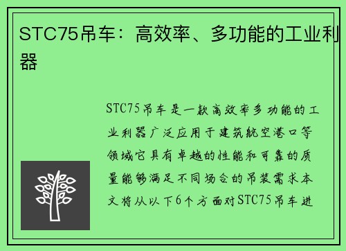 STC75吊车：高效率、多功能的工业利器