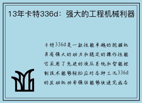 13年卡特336d：强大的工程机械利器